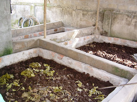 Nước mắm giàu đạm nhờ… trùn quế