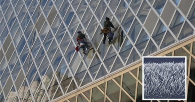 Sản xuất kính không bám bụi từ 'thảm cỏ nano'