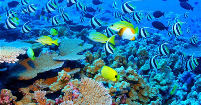 'Trái bom nổ chậm” trong lòng biển