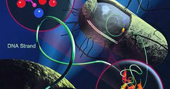 Vi khuẩn kháng kháng sinh: Do “kiếm” cũ đã cùn?