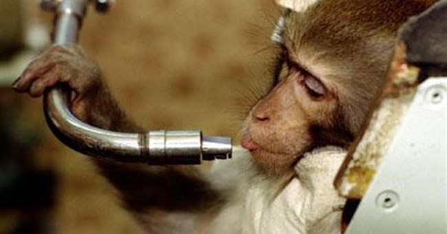 Nga sẽ đưa khỉ lên sao Hỏa