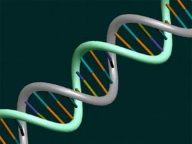 DNA trong thực vật giúp cho tế bào trường thọ