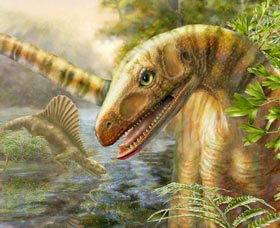 Tìm thấy hóa thạch động vật có họ với khủng long