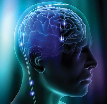 Não bộ của con người đang ngày càng thu nhỏ