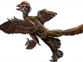 Phát hiện hóa thạch loài chim tại Sa mạc Gobi 