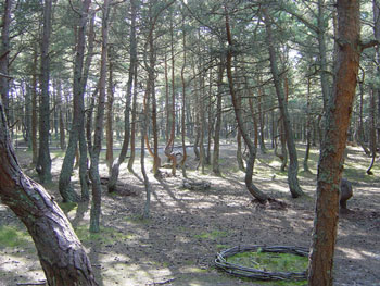 Bí ẩn 