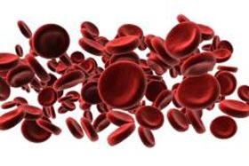 Sinh trưởng đa tính trạng giúp tái sinh tế bào máu