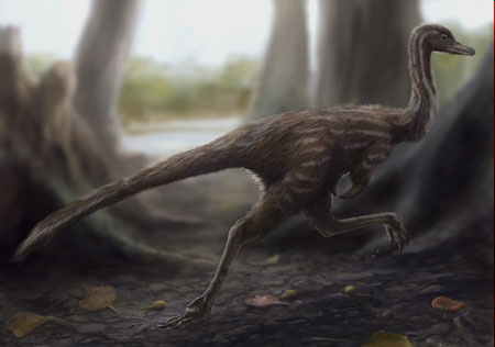 Lần đầu phát hiện hóa thạch khủng long Mononykus