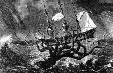 Kraken là phiên bản huyền thoại của mực ống khổng lồ có thật.