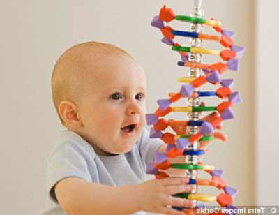 Bệnh tật, trí tuệ, tài năng: Đừng đổ hết cho gene!