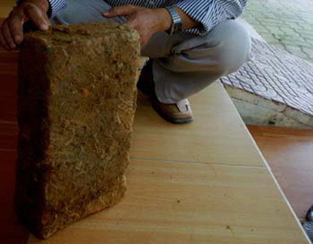 Viên gạch nghìn tuổi được phát hiện