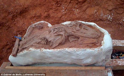 Phát hiện hóa thạch của loài ăn thịt trước thời khủng long