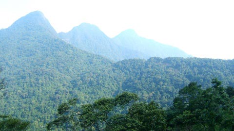 Chống phát thải CO2: Việt Nam đi đầu khu vực