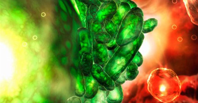 Tái chế màn hình LCD thành chất diệt khuẩn