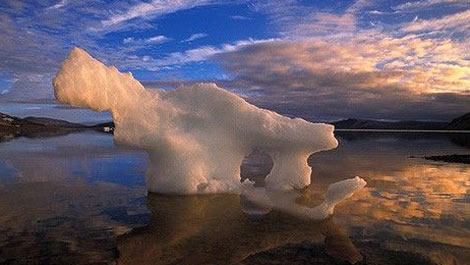 40 năm nữa Bắc cực sẽ hết băng?