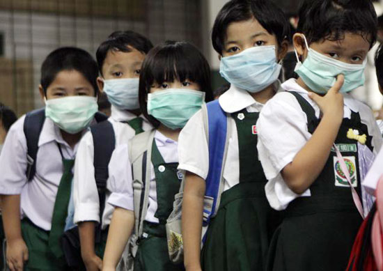 Virus H5N1 biến đổi có thể lây từ lợn sang người 