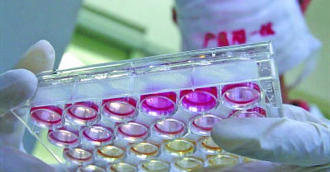 “Siêu vi khuẩn” đang lan chóng mặt