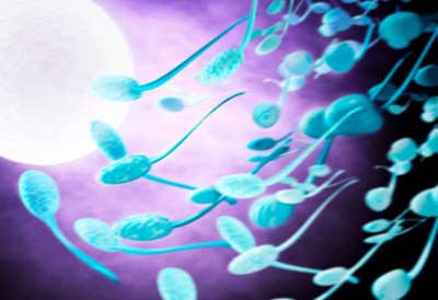 Tìm thấy gen vô sinh ở nam giới