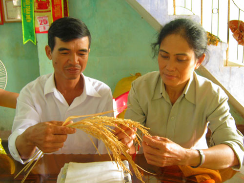 Nông dân bán bản quyền nghiên cứu cho nhà nước
