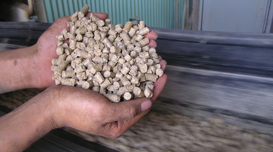 Chất đốt cao cấp từ trấu
