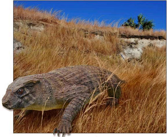 Phát hiện hóa thạch chủng cá sấu ăn chay cổ đại