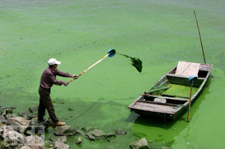 Trung Quốc ô nhiễm nguồn nước vì "nghiện" phân hóa học