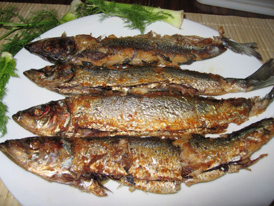 Thường xuyên ăn cá rán gia tăng nguy cơ đột quỵ