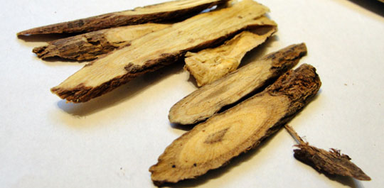 Các thực phẩm giúp ngăn ngừa ung thư