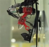 Video: Giới thiệu mô hình robot thằn lằn