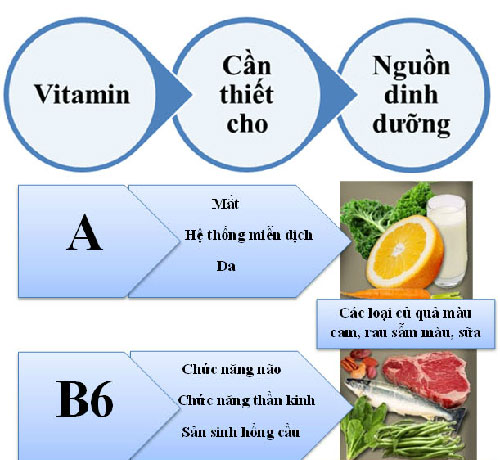 Những vitamin không thể thiếu cho cơ thể