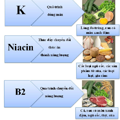 Những vitamin không thể thiếu cho cơ thể