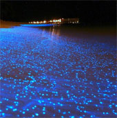 Bờ biển phát sáng tuyệt đẹp như đom đóm ở Maldives