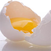 Sản xuất trứng gà giàu Omega-3