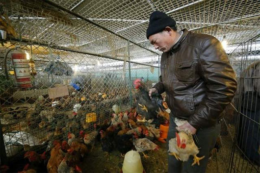 Trung Quốc thêm 10 ca nhiễm cúm H7N9 trong 1 ngày