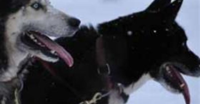 Ung thư có niên đại cổ nhất thế giới