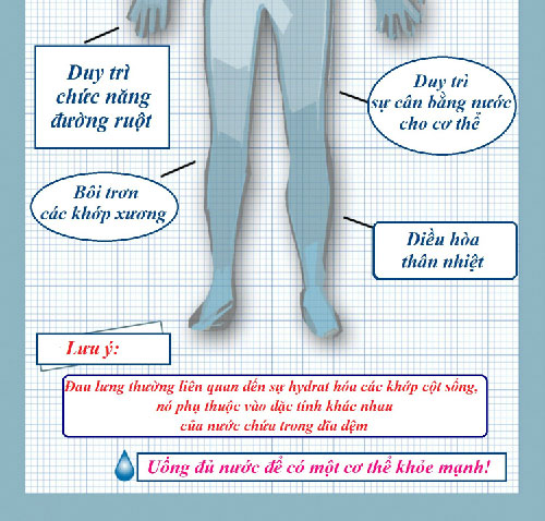 Lợi ích thiết thực của việc uống đủ nước