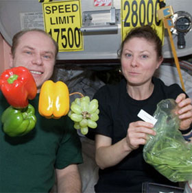 Trồng và thu hoạch rau trên trạm không gian quốc tế