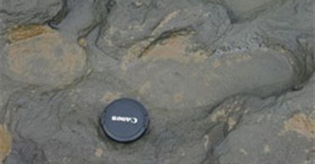 Tìm thấy vết chân người sống cách đây 800.000 năm