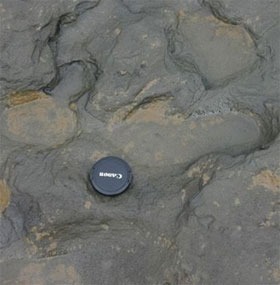 Tìm thấy vết chân người sống cách đây 800.000 năm
