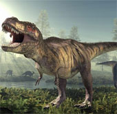 Nghiên cứu mới về bước đi của khủng long bạo chúa T-Rex