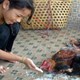 Hai trường hợp tử vong vì cúm H5N1 tại Campuchia