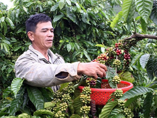 Dùng phân NPK nhả chậm và giữ ẩm cho cây trồng