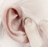 Ráy tai có thể tiết lộ thiên hướng tình dục