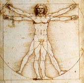 Khám phá bác bỏ "Người Vitruvius" của Da Vinci là hoàn hảo