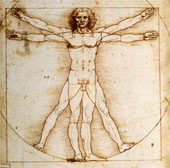 Khám phá bác bỏ "Người Vitruvius" của Da Vinci là hoàn hảo