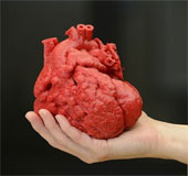 Chế tạo tim nhờ công nghệ in 3D