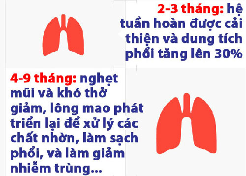 Lợi ích của việc bỏ thuốc lá