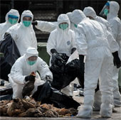 Hong Kong phát hiện thêm ca nhiễm cúm H7N9 thứ 6