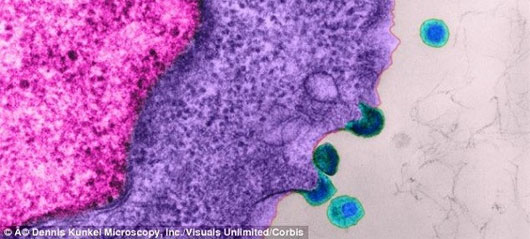 Thành tựu mới: Thuốc kháng virus HIV chỉ với 1 mũi tiêm 1