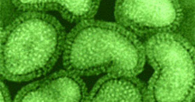 10 hiểu biết sai lầm về khoa học